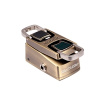 Pedal para Guitarra Mooer Mini Wah Wah The Wahter WCW1 - Dourado