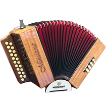 Acordeon Minuano 8 Baixos 8/21 com Bag de Alças