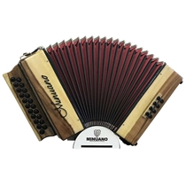 Acordeon Minuano 8 Baixos 8/21 com Bag de Alças