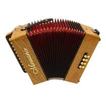 Acordeon Minuano 8 Baixos 8/21 com Bag de Alças