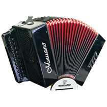 Acordeon Minuano 8 Baixos 8/21 com Bag de Alças