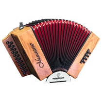 Acordeon Minuano 8 Baixos 8/21 com Bag de Alças