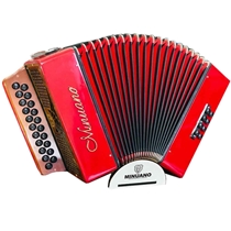 Acordeon Minuano 8 Baixos 8/21 com Bag de Alças