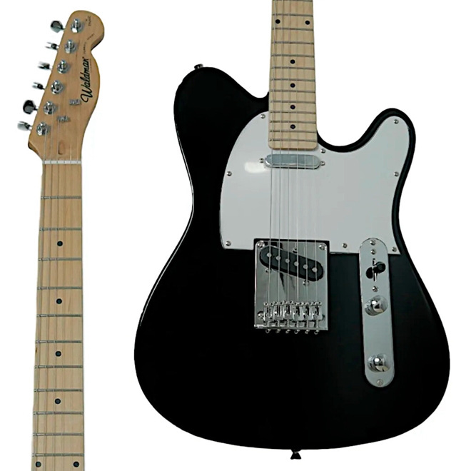 Guitarra Waldman GTE 100 Telecaster Multisom