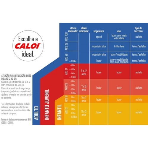 Bicicleta Caloi Ceci Aro 24 CFreio V Brake e Trocador Schumann