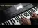 Teclado Casio CT-X800 61 Teclas Sensitivas com Fonte Bivolt