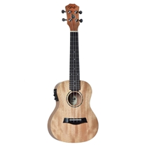 Seizi deals ukulele concert