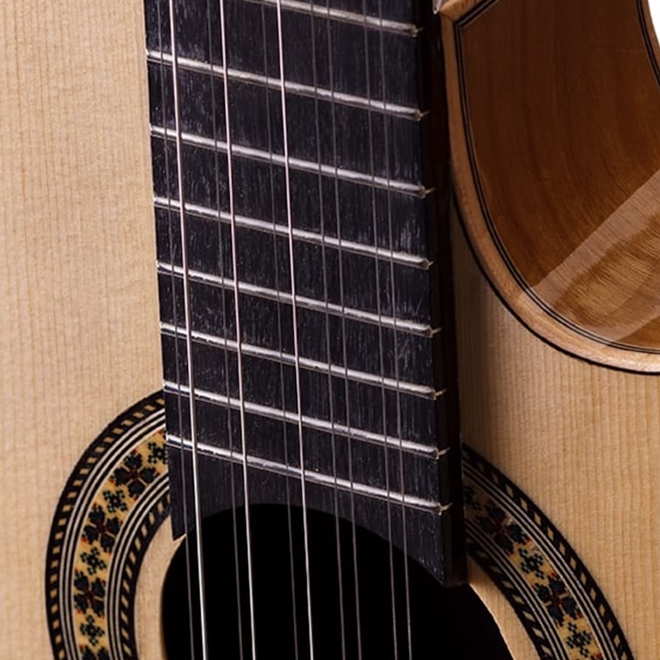 Viola Flat Rozini RV141ATN Elétrica com Cordas de Aço Schumann