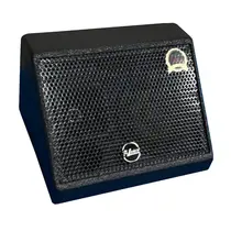 Monitor de Áudio Leacs M6 Passivo 120W RMS - Preto