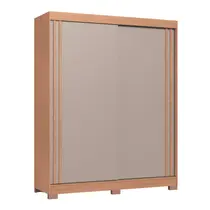 Guarda-Roupa Casal 2 Portas de Correr 2 Gavetas Castro Rudá 0634A Flex