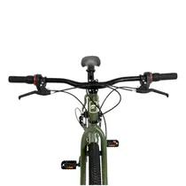 Bicicleta Aro 29 Free Action Flexus Disk Brake 21 Marchas - Verde Miltar