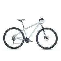 Bicicleta Aro 29 Houston Skyller Freio Disco Mecânico 21 Marchas - Inox
