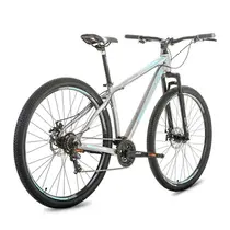 Bicicleta Aro 29 Houston Skyller Freio Disco Mecânico 21 Marchas - Inox