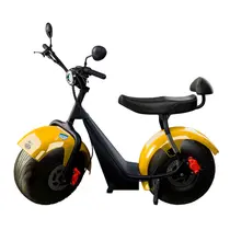 Scooter Elétrica TUI Mais 2 Lugares 1000w Autonomia 60km Amarelo