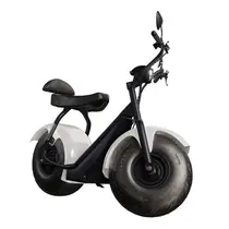 Scooter Elétrica TUI Mais 2 Lugares 1000w Autonomia 60km - Branco
