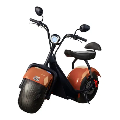 Scooter Elétrica TUI Mais 2 Lugares 1000w Autonomia 60km - Bronze