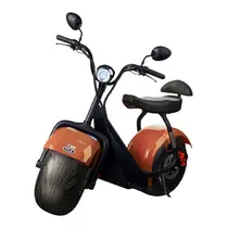 Scooter Elétrica TUI Mais 2 Lugares 1000w Autonomia 60km - Bronze