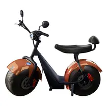 Scooter Elétrica TUI Mais 2 Lugares 1000w Autonomia 60km - Bronze