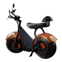 Scooter Elétrica TUI Mais 2 Lugares 1000w Autonomia 60km - Bronze