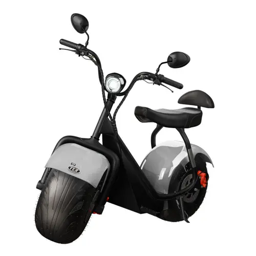 Scooter Elétrica TUI Mais 2 Lugares 1000w Autonomia 60km - Prata