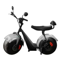 Scooter Elétrica TUI Mais 2 Lugares 1000w Autonomia 60km - Prata