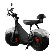 Scooter Elétrica TUI Mais 2 Lugares 1000w Autonomia 60km - Prata