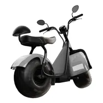 Scooter Elétrica TUI Mais 2 Lugares 1000w Autonomia 60km - Prata