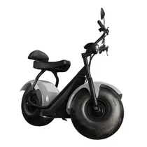 Scooter Elétrica TUI Mais 2 Lugares 1000w Autonomia 60km - Prata