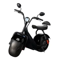 Scooter Elétrica TUI Mais 2 Lugares 1000w Autonomia 60km - Preto