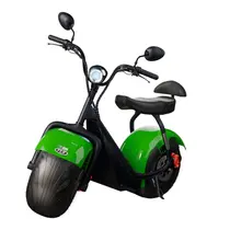 Scooter Elétrica TUI Mais 2 Lugares 1000w Autonomia 60km - Verde