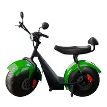 Scooter Elétrica TUI Mais 2 Lugares 1000w Autonomia 60km - Verde