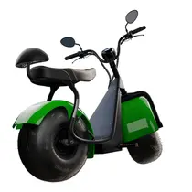 Scooter Elétrica TUI Mais 2 Lugares 1000w Autonomia 60km - Verde