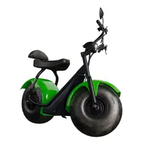 Scooter Elétrica TUI Mais 2 Lugares 1000w Autonomia 60km - Verde