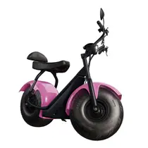 Scooter Elétrica TUI Mais 2 Lugares 1000w Autonomia 60km - Rosa