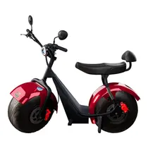 Scooter Elétrica TUI Mais 2 Lugares 1000w Autonomia 60km - Vermelho