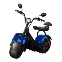 Scooter Elétrica TUI Mais 2 Lugares 1000w Autonomia 60km - Azul