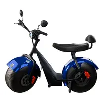 Scooter Elétrica TUI Mais 2 Lugares 1000w Autonomia 60km - Azul