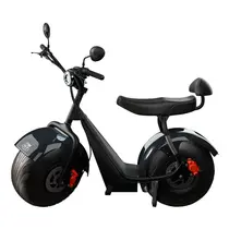 Scooter Elétrica TUI Mais 2 Lugares 1000w Autonomia 60km - Cinza
