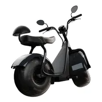Scooter Elétrica TUI Mais 2 Lugares 1000w Autonomia 60km - Cinza