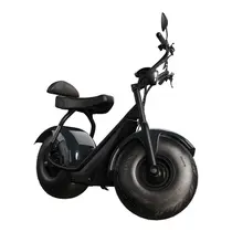 Scooter Elétrica TUI Mais 2 Lugares 1000w Autonomia 60km - Cinza