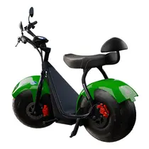 Scooter Elétrica TUI Mais 2 Lugares 1000w Autonomia 60km - Verde
