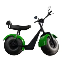 Scooter Elétrica TUI Mais 2 Lugares 1000w Autonomia 60km - Verde