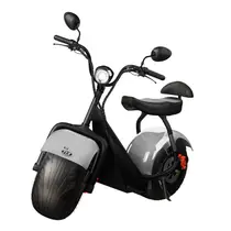 Scooter Elétrica TUI Mais 2 Lugares 1000w Autonomia 60km - Prata