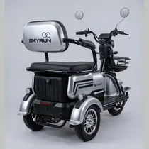 Triciclo Elétrico Skyrun 3 Lugares 1000w Autonomia 40 á 50km - Prata