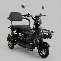 Triciclo Elétrico Skyrun 3 Lugares 1000w Autonomia 40 á 50km - Preto