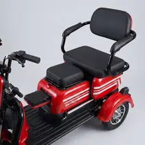 Triciclo Elétrico Skyrun 3 Lugares 1000w Autonomia 40 á 50km - Vermelho